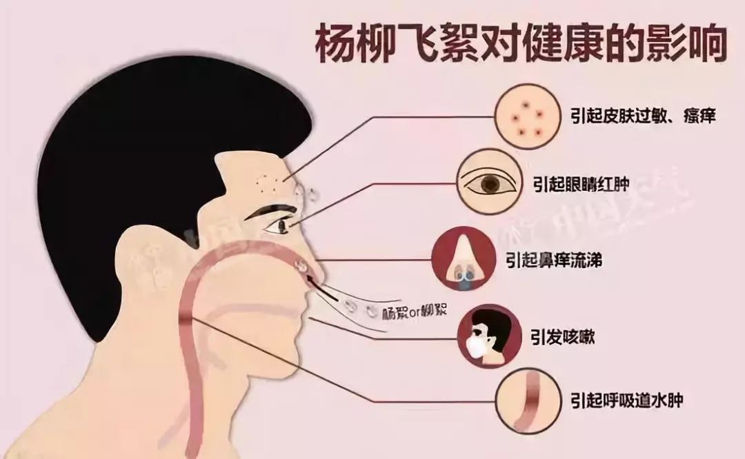 脐环恢复时间，了解恢复过程及影响因素