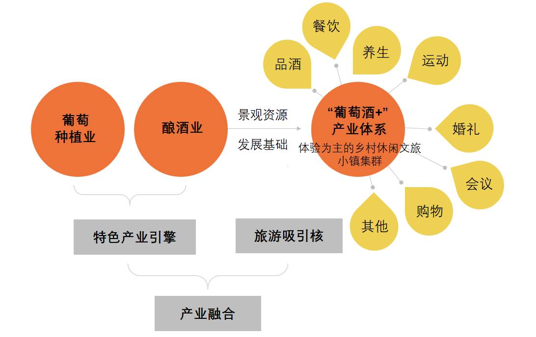 藤木网络，深度解析其表现与特点