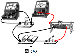 摇头灯与发酵检测仪器的关系探究