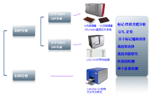 硅箱的作用及其在现代科技领域的应用