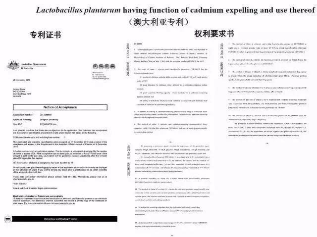 康复工程技术产品的基本作用