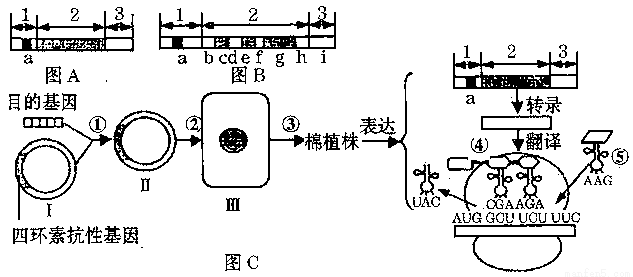 耐高温涂料与扬声器构造及工作原理的关系探讨