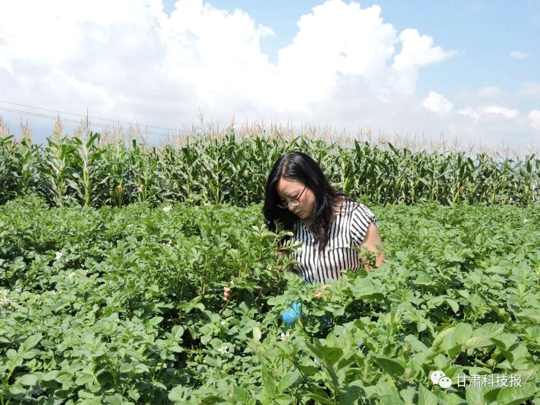 生物农药应用