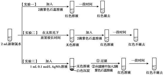 有机卤素及其相关化合物概述