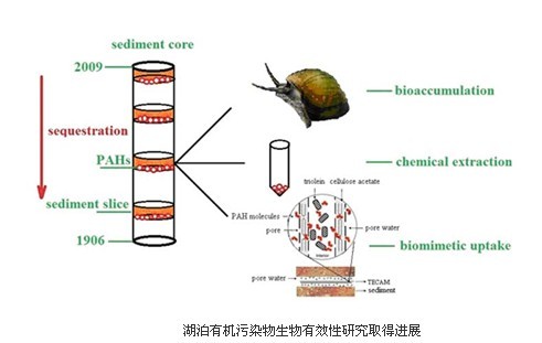 落叶数思念 第7页