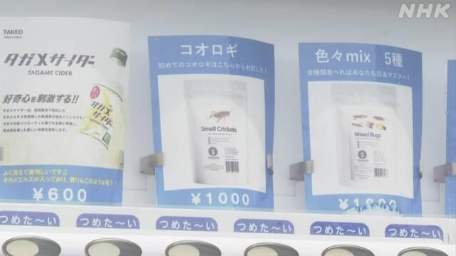 礼品袋、农药原药与拔毛机，三者原理及应用领域的差异