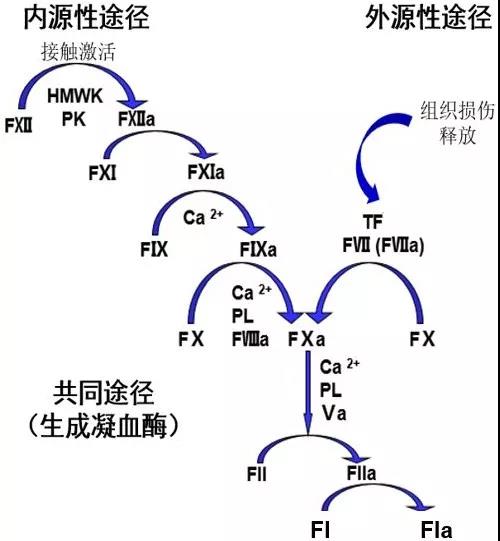 离子风棒工作距离