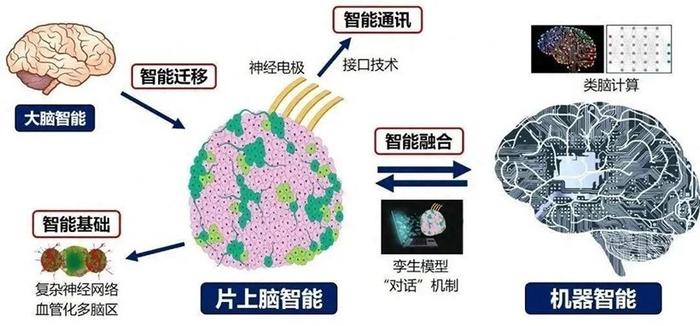 卡套材料的多样性与应用