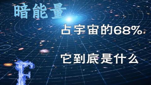 2024年12月22日 第10页