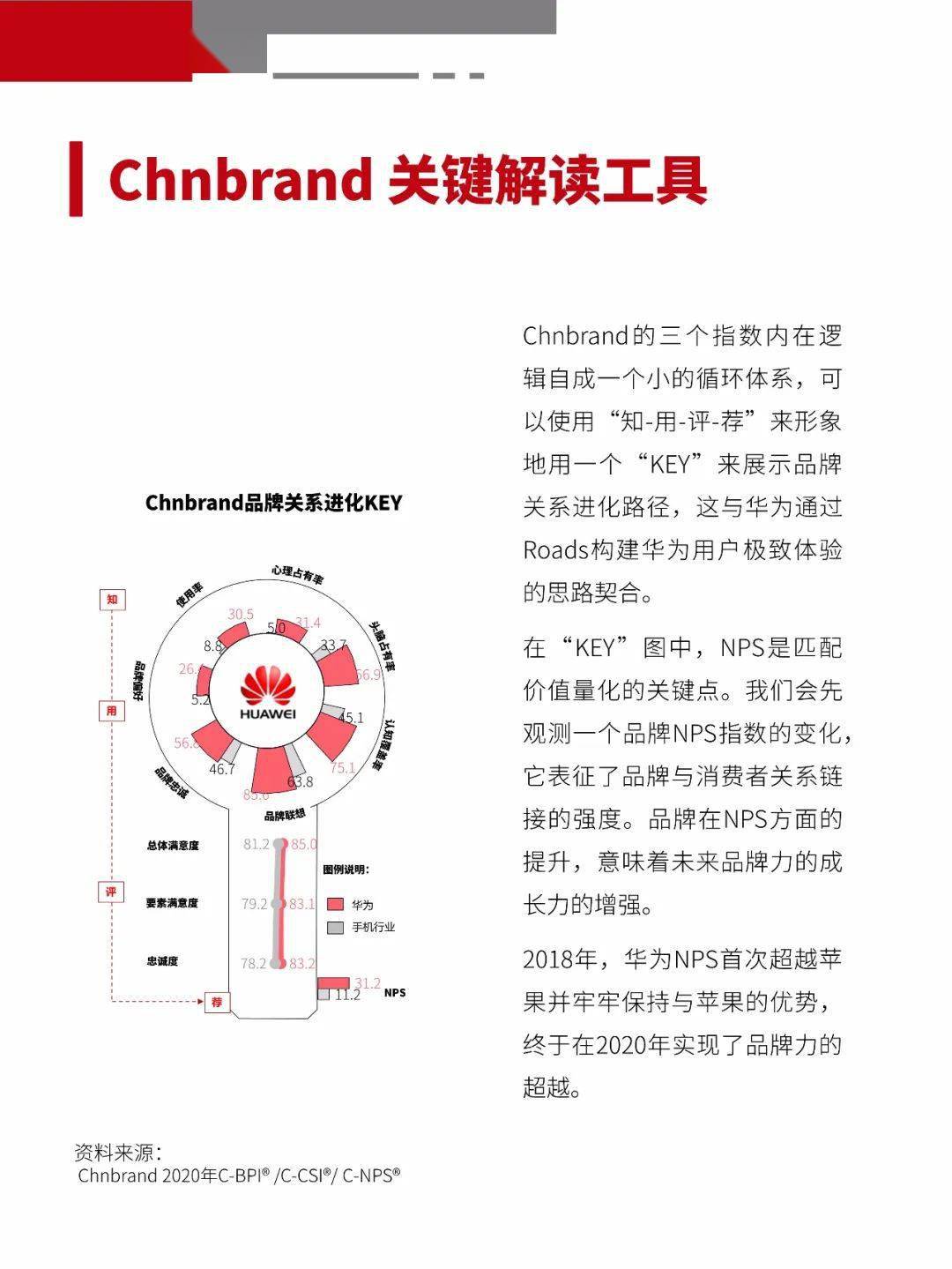 CHN脚环，一种独特的标识与追踪技术