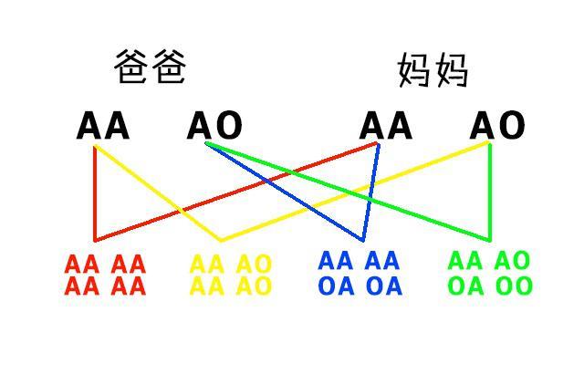 两个O型血会溶血吗？解读血型与溶血的关系