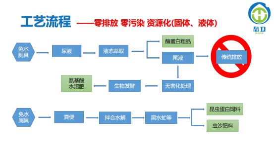 蛋白饲料新技术，引领农业产业革新与发展