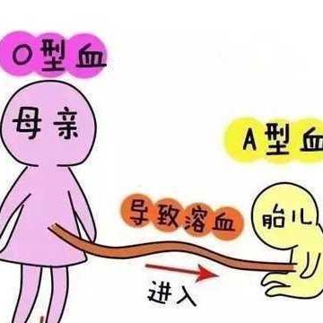 abo溶血是怎么了